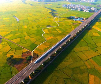 賓陽(yáng)：聚焦“三農(nóng)” 鄉(xiāng)村振興譜新篇